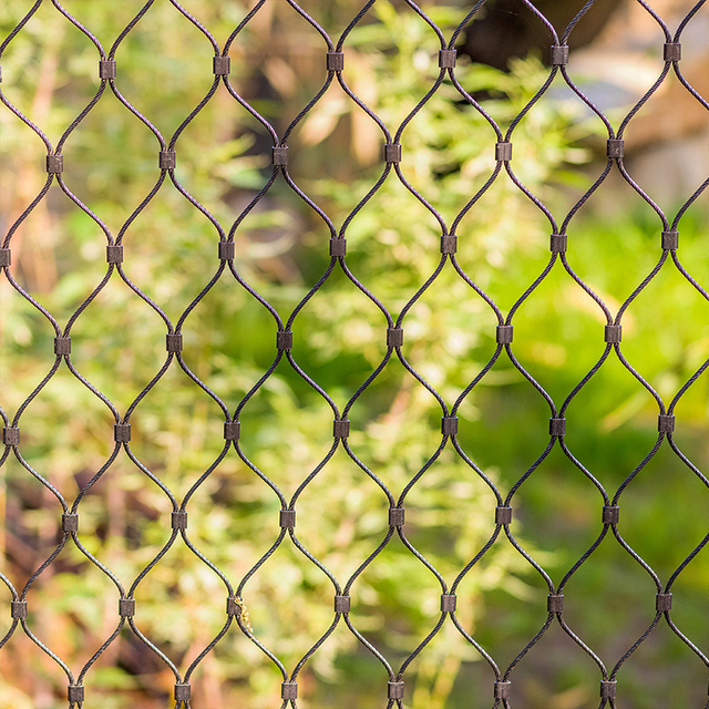 شبكة أسلاك حديقة الحيوان